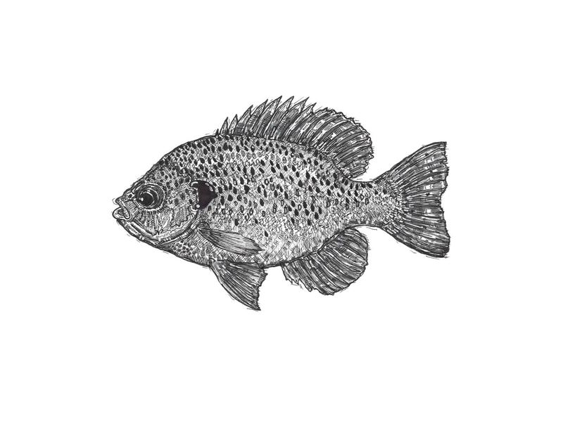 Blue Gill Pencil — All Things Revenue Co. Logo