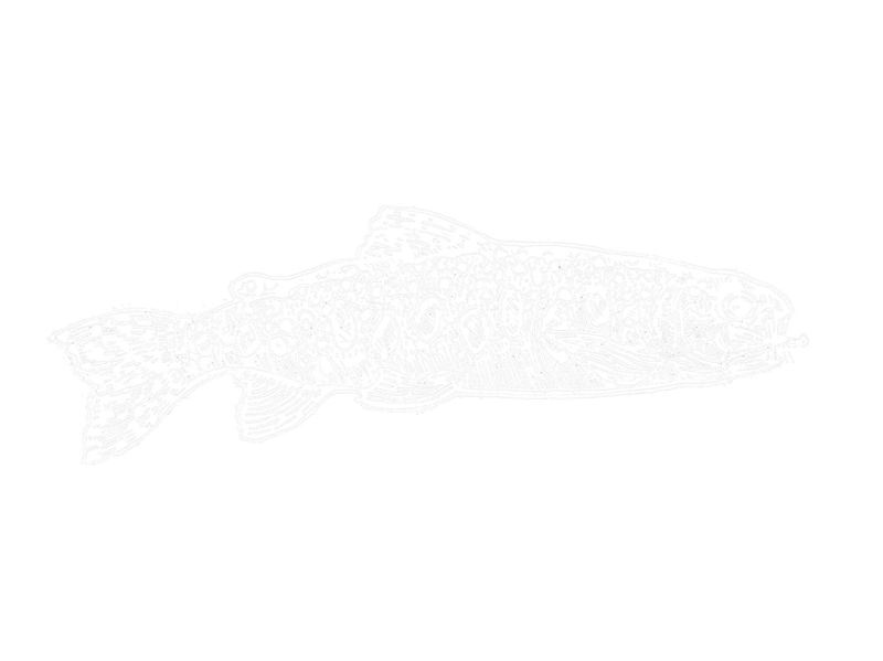 caddis white clipped — All Things Revenue Co. Logo