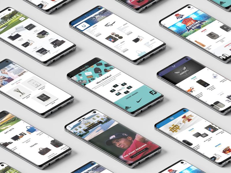Mobile 2500 BirdieBox Websites Mockup — BirdieBox Mock Ups