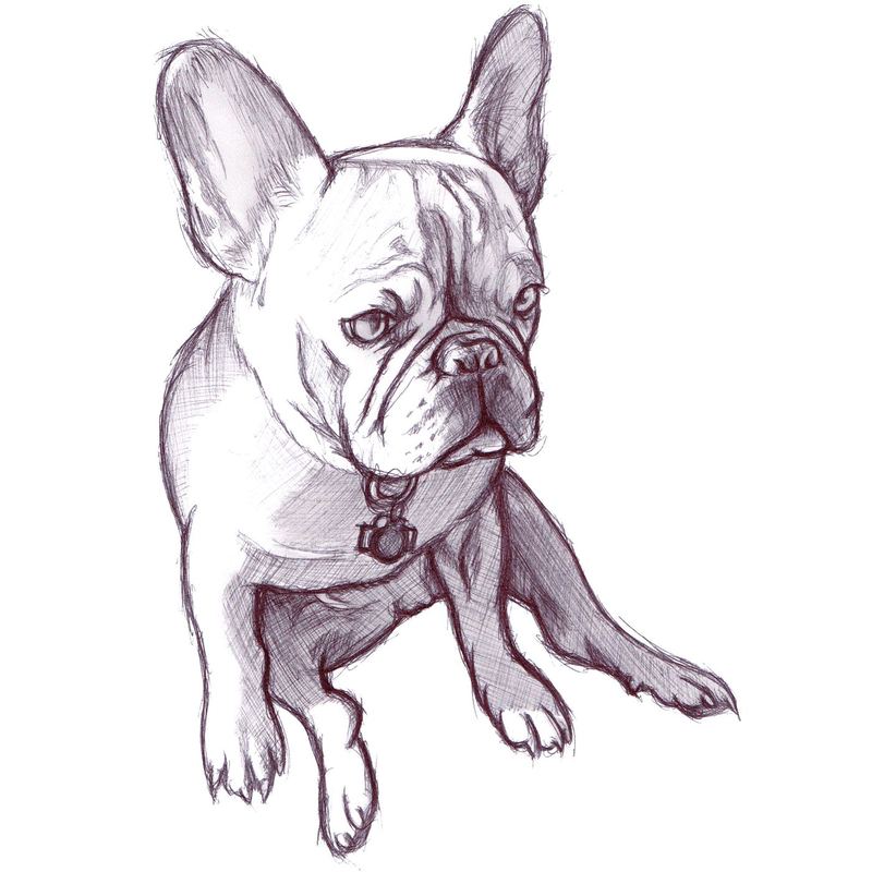 Brooklyn sketch — Brooklyn