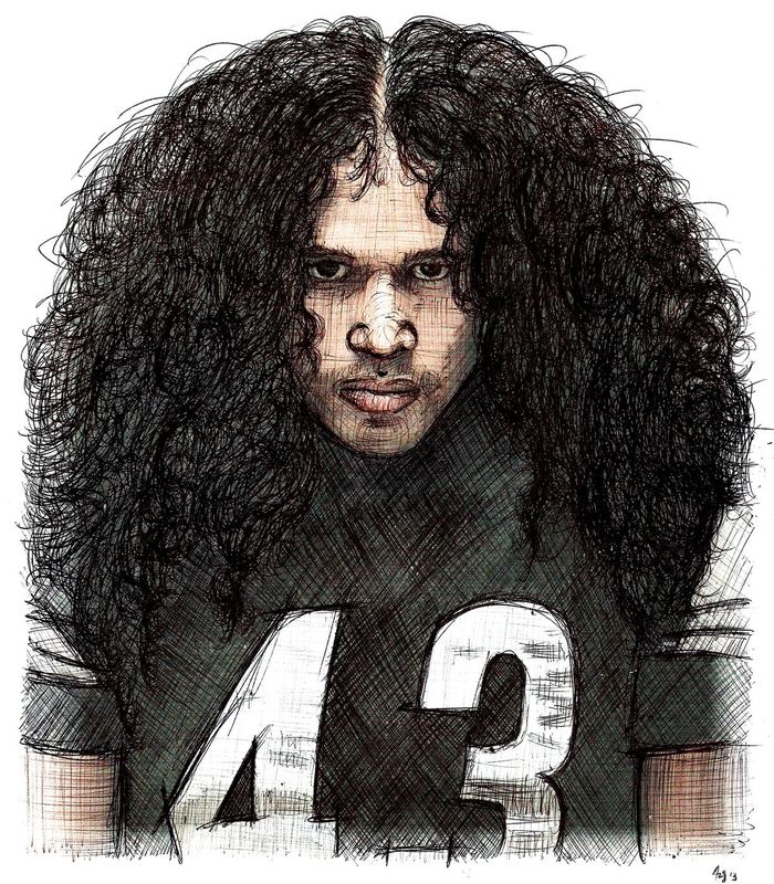 Troy Hair — Misc. NFL Unorganized Designs Pictures Images