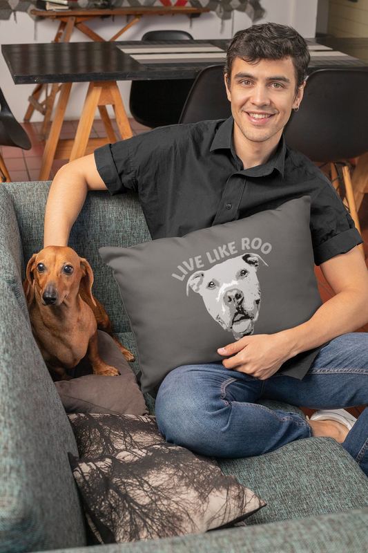 mockup of a man holding a pillow while petting a dog 30679 — ROO SWAG