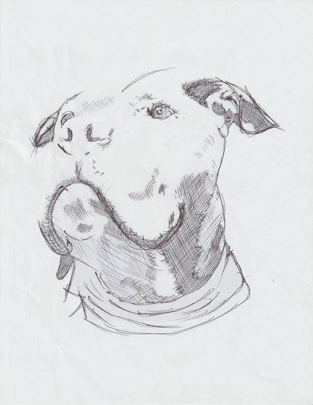 roo — Live like ROO