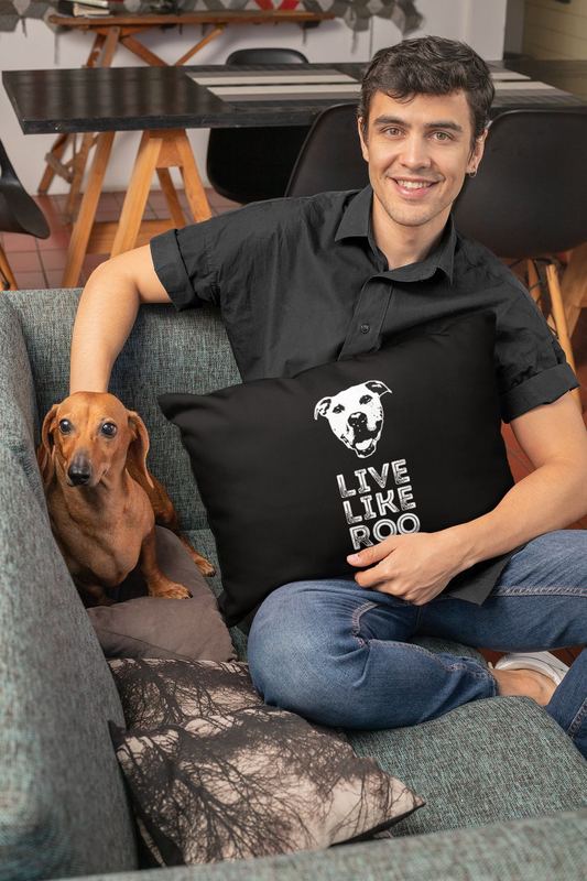 mockup of a man holding a pillow while petting a dog 30679 (1) — ROO SWAG